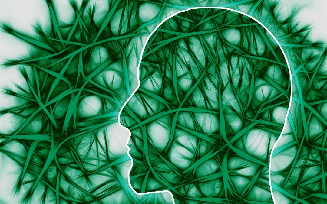 Everything You Need to Know About The Splanchnic Nerve